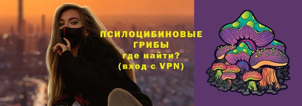 2c-b Михайловск