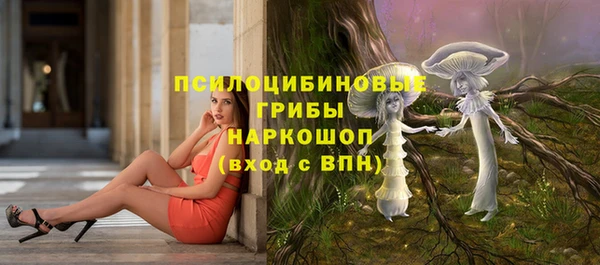 2c-b Михайловск