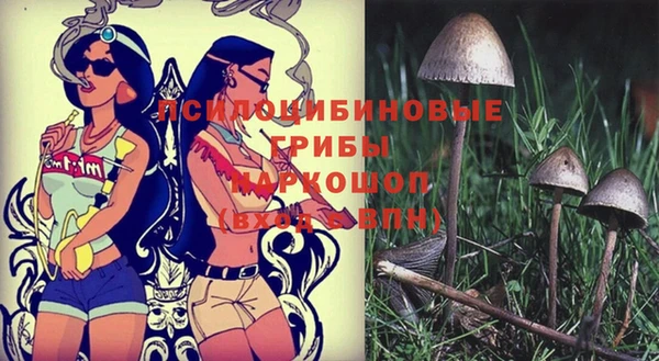 2c-b Михайловск