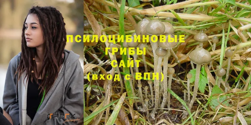 omg tor  Лукоянов  Псилоцибиновые грибы Magic Shrooms 