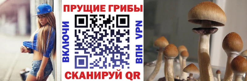 Галлюциногенные грибы мухоморы Лукоянов